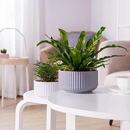 JOFAMY Plastic Plant Pots Scandinavian, 3 Pack Flower Pots with Drainage Holes and Rubber Stopper, Modern Simple Design Indoor Planter for Most Houseplants, Succulents, Aloe, Pothos, Snake Plants