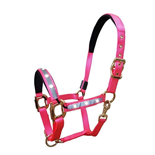 Reinecke Equestrian Starlight Reflective Headcollar Safety Holder LED Nylon Headcollar Size Cob/Vb Pink / Gold