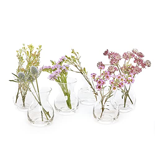 Chive ‘George’ Round Flower Vase — Cute, Beautiful Glass Vase for Flowers & House Plants — Style 4