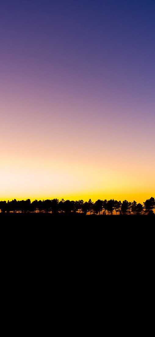 PeelitStickit, Beautiful Nature Wall Murals, ID-1963, vinyl