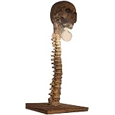 Moanyt Scary Skeleton Lamp Halloween 3D LED Skull Lamp Table Light Ornament Prop Halloween Party Decor(B)