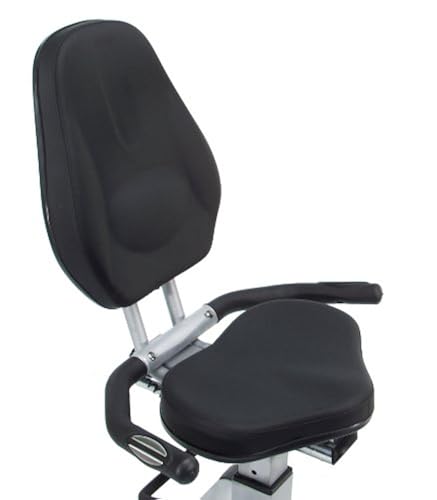 Stamina Elite Total Body Recumbent Bike 