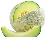 50 Honeydew Green Melon Seeds | Non-GMO | Fresh