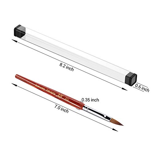 PHOEBE Acrylic Nail Brush for Acrylic Powder (Size 8) 100% Pure Kolinsky Sable Acrylic Nail Brush with Red Wood Handle Professional Nail Art Brush