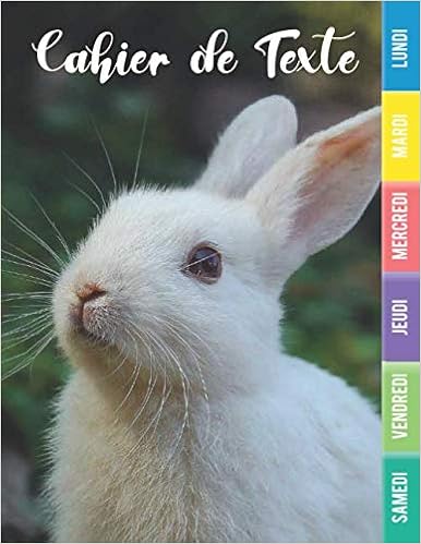 Cahier De Texte Lapin Cahier De Texte Animaux Cahier De Texte Cp Ce1 Ce2 Cm1 Cm2 21 Etoile Petite Amazon Fr Livres