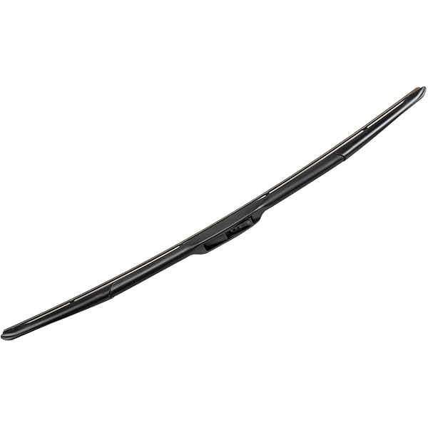 Amazon.com: ACDelco GM Original Equipment 84580859 Passenger Side 
