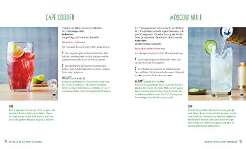 Cocktails: Für die Happy Hour zu Hause – Bild 5