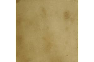 CONCRETE RESURRECTION Concrete Acid StainSemi-Transparent Professional Grade Cement Stain (1 Gallon, Mountain Road)