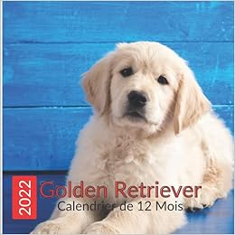Amazon Fr Calendrier Golden Retriever 22 Calendrier De 12 Mois Avec De Belles Photos De Chiens Golden Retriever Mini Calendrier Carre Qui S Emmene Avec Citations Dates Importantes Et Notes Editions Astrial Livres