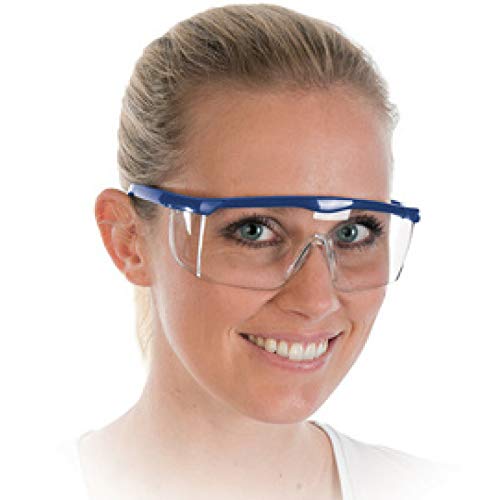 franz mensch All-purpose safety glasses, lens tint clear.