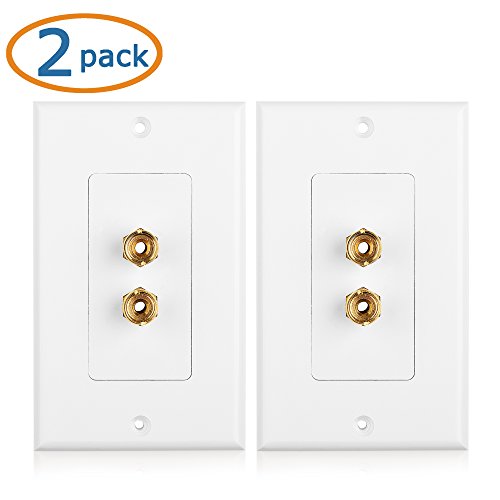 Cable Matters 2Pack Speaker Wire Wall Plate (Speaker Wall Plate, Banana Plug Wall Plate) for 1