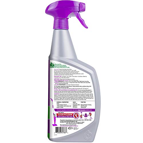 Rejuvenate Carpet & Upholstery Spot Remover Stain Cleaner BioEnzymatic