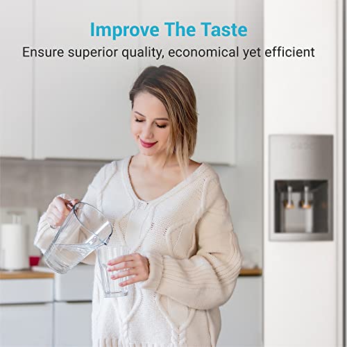 AQUA CREST Replacement for WF2CB®, PureSource2®, NGFC 2000, FC100, 1004