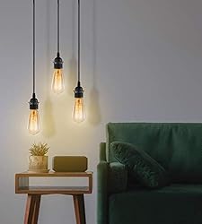 Hanging Lights with Plug in Cord, FadimiKoo Hanging