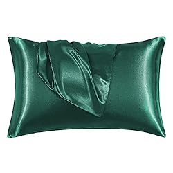 EHEYCIGA Satin Pillowcase for Hair and Skin Silk
