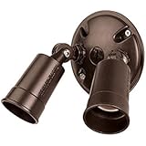 Acclaim FL1ABZ FloodLights Collection 2-Light Outdoor Light Fixture, Architectural Bronze