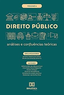Livro Direito Público - análises e confluências teóricas: Volume 4
