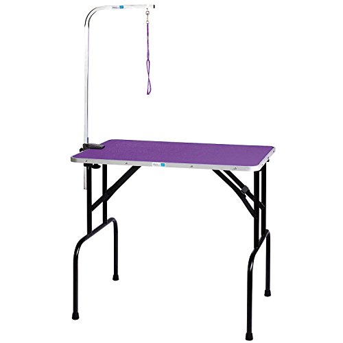 purple grooming table