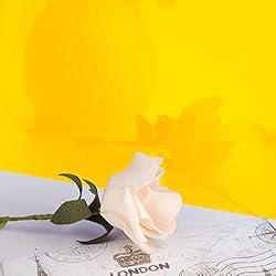 Enoin 1 pack 12x16 Inches Yellow Non Transparent