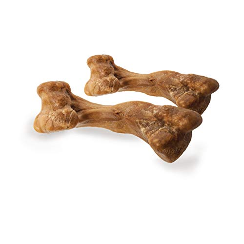 NYLABONE HEALTHY EDIBLES WILD NATURAL LONG-LASTING TURKEY FLAVOR BONE CHEW TREATS FOR DOGS, SMALL/REGULAR (4 COUNT)