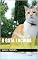 Livro A gata Lucinda