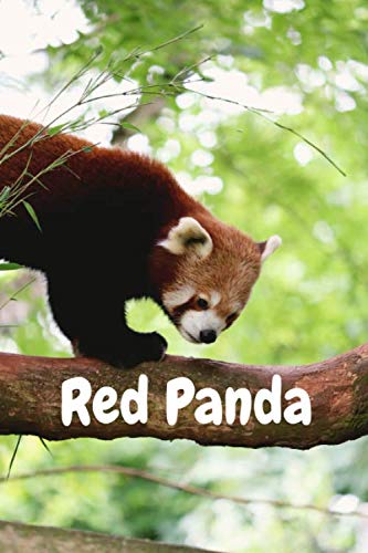 The Red Panda Notebook: Lovely Journal / Diary / Notepad, For Kids, Girls, and Teens, Cute Panda With Bamboo, Panda Lover Gifts (Lined Notebook, 6" x 9") 120 Pages