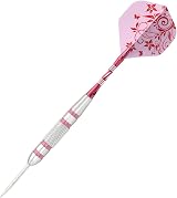 CUESOUL Steel Tip Darts Set 22 Grams Aluminum Shafts 3pcs Flights Case view 2