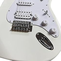 Vicers 6 string guitar, barbecue maple fingerboard