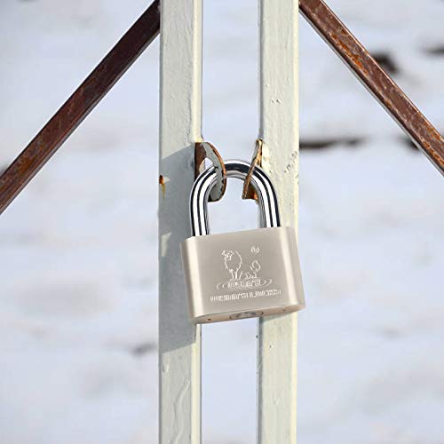 Padlock with Keys for Outdoor Use, Katfort 2.36inch(60mm) Keyed