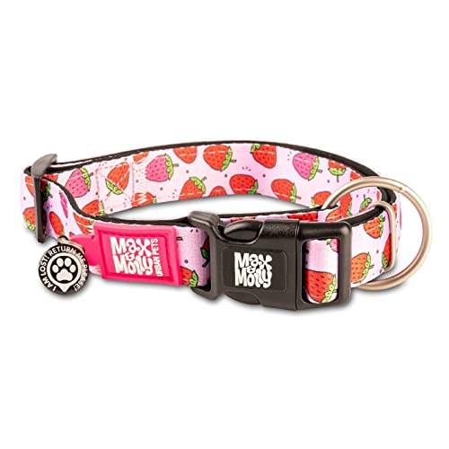 Max & Molly Dog & Puppy Collar with Power Buckle, Fun Style for Small, Medium, Large Dogs & Puppies, Waterproof, Comfortable, Adjustable, Includes Gotcha QR Code Pet ID