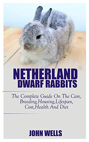 NETHERLANDS DWARF RABBITS: The Complete Guide On