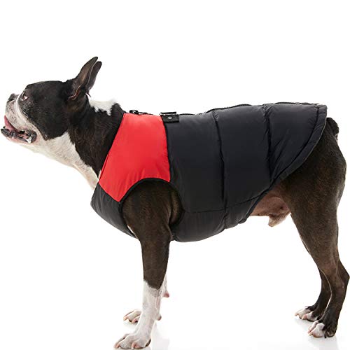 GOOBY Gilet Imbottito per Cani di Piccola Taglia con Protezione sicura per la Pelliccia con Chiusura a Cerniera, S, Rosso