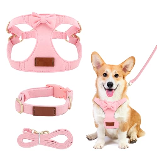 Harnais réglable pour chiot avec laisse, harnais de poitrine pour petit chien avec nœud papillon, harnais pour petits chiens, chats et petits animaux (XS)
