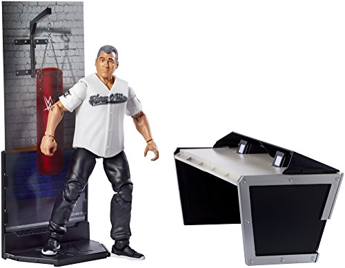 WWE Elite Collection Shane McMahon Figure