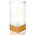 MAMILO Enlighten Kosher Lamp for Shabbos & Yom Tov, Shabbat Permissible Led Light (Gold Base 5000K)