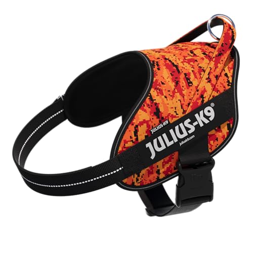 Powerharness 2025, Power&More, Size: XL, Pixeljuice