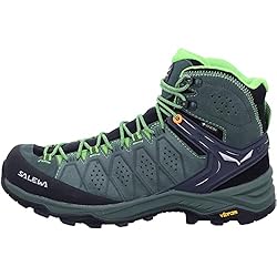 Salewa Men's Alp Trainer 2 Mid Gtx - Raw Green/pale
