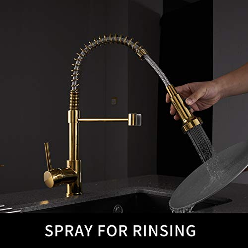 GIMILI Gold Kitchen Faucet with Sprayer,Modern Single Handle HighArc