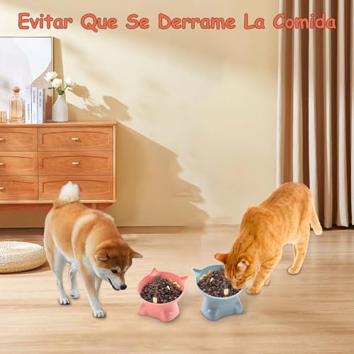 XJZWHN 2 Pcs Platos para Gato, Cuenco Elevados para Gato con 15° Inclinación Diseño Ergonómico, Proteger la Columna Cervical, Inclinable Tazón para Gatos, Cachorro
