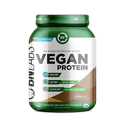 Organic Vegan Protein Powder 27g Protein, RAW, Certified Organic, Non