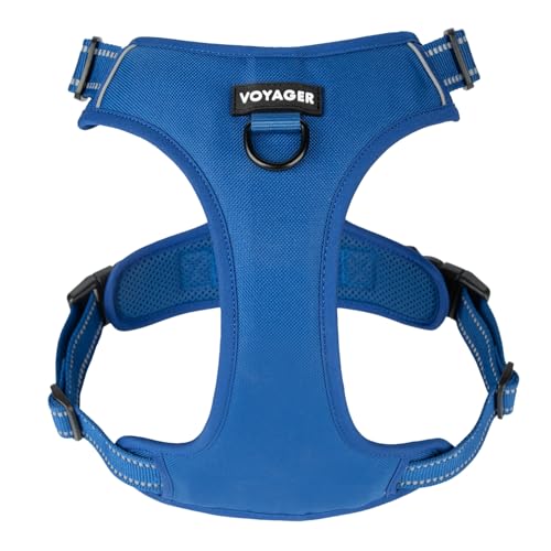Voyager Dog Harness Dual Leash Attachment No-Pull Control Adjustable Soft but Strong Pet Harness for Medium and Large Dogs with 3M Reflective Technology - Royal Blue Lattice, M (Chest: 20 - 25)