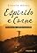 Livro Espírito e carne: Psicanálise e espiritualidade
