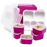 Fun Life Bento Lunch Box, 5 Compartment Insulated Leakproof Meal Prep Container Eco-Friendly Reusable for Men,Women,Adults, Kids (Purple)