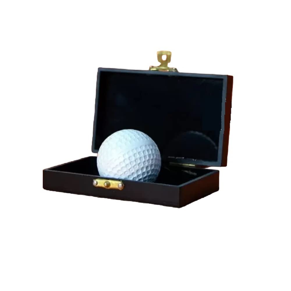 MilesMagic Magician’s Impossible Case Gimmick Plexiglas Briefcase | Produce Big Items from Tiny Props | Close-Up Effect Street Stage Magic Trick (Gimmick Box only)