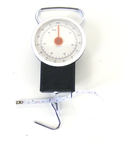 Bilancia Digitale Per Bagagli Da Viaggio 50kg/10g – Pesa Valigia Portatile Con Display LCD E Funzione Tara – Compatta Con Gancio Acciaio - 2