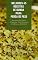Livro Melhores 45 Receitas De Quinoa Para Perda De Peso : Quinoa Para Dieta - Receitas De Super Alimentos Para Doenças Cardíacas, Diabetes, Intolerância Ao Glúten E Doença Renal