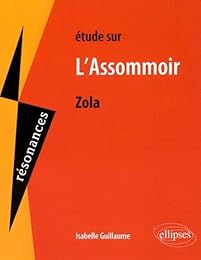 Étude sur Émile Zola, "L'assommoir"