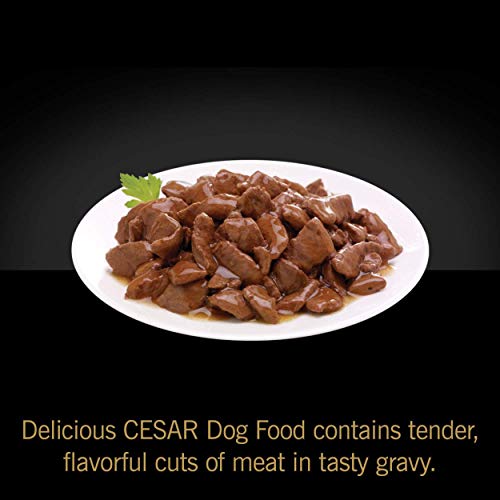 CESAR HOME DELIGHTS Soft Wet Dog Food TBone Steak, Egg & Cheese Flavor