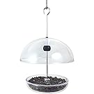 Droll Yankee CUTE Chickadee Feeder Small Domed Multi-purpose Bird Feeder for Mealworms, Seed, or Fruit