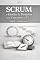 Livro SCRUM e Gestão de Projetos para Concursos de TI: PMBOK + Métodos Ágeis (TI para Concursos Público)